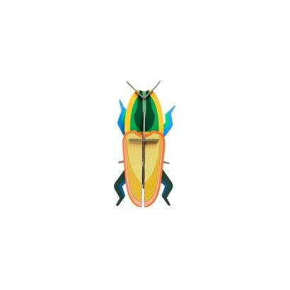 Zidni dekor madagascar beetle