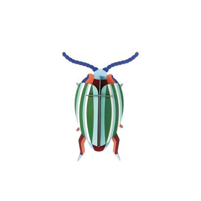 Zidni dekor rainbow leaf beetle