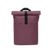 Ruksak hajo mini lotus eggplant