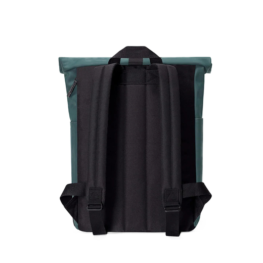 Hajo mini lotus forest 1