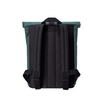 Hajo mini lotus forest 1