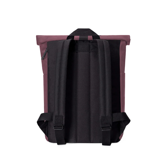 Ruksak hajo mini lotus eggplant 1