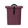 Jasper mini lotus eggplant