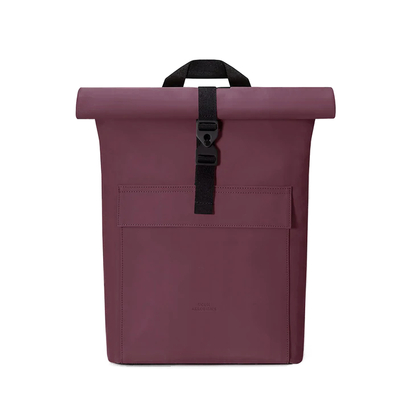 Jasper mini lotus eggplant