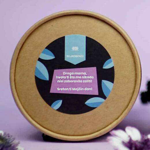 Zagonetne biljke majčin dan 1