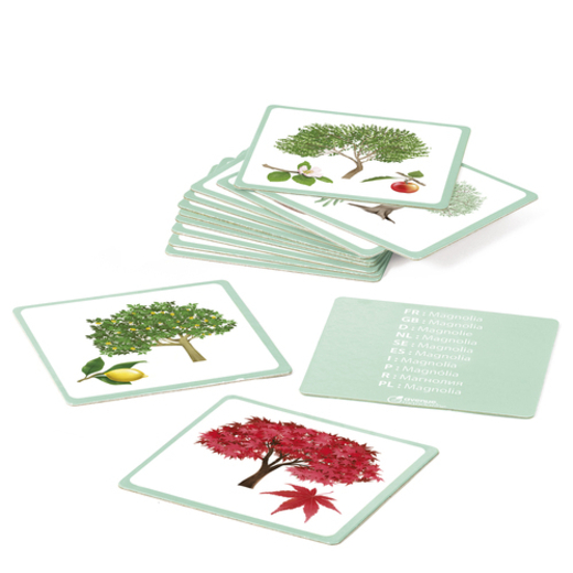 Avenue mandarine memory karte stabla 1