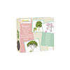Avenue mandarine memory karte stabla