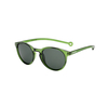 Parafina naočale isla sea green dark gray 1