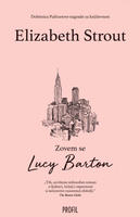 Zovem se lucy barton