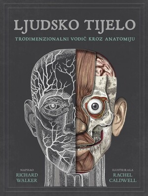 Ljudsko tijelo