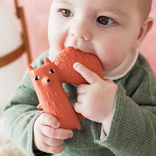 Oli&carol grickalica cyril squirrel fox 4