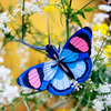 Zidni dekor peacock butterfly mali 1