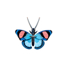 Zidni dekor peacock butterfly mali