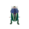 Zidni dekor mimela scarab beetle mali