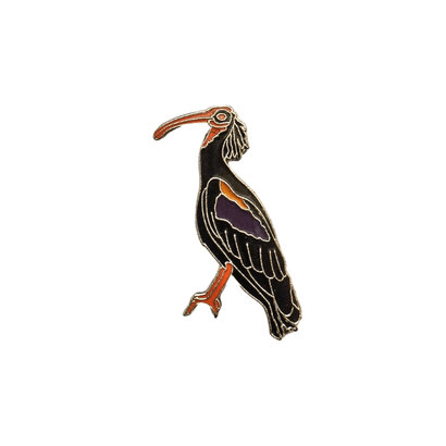Bedž ćelavi ibis