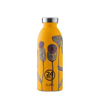 Arizona clima 1