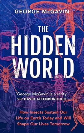 The hidden world