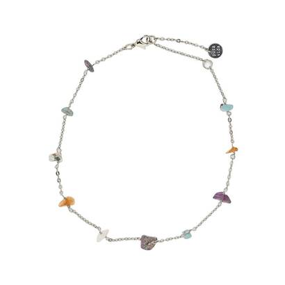 Nanoznica rainbow cip 1