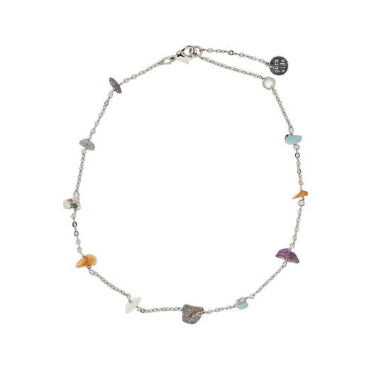 Nanoznica rainbow cip 1