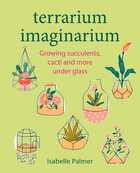 Terrarium imaginarium