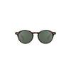 Tortoise green lenses d 1