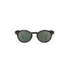 Tortoise green lenses h 1