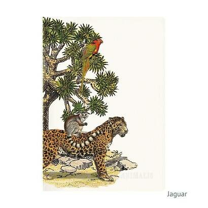 Clairefontaine bilježnica animalis a5 jaguar