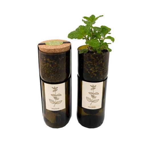 Bottle garden metvica