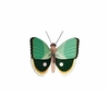 Zidni dekor peacock fern striped butterfly mali (1)