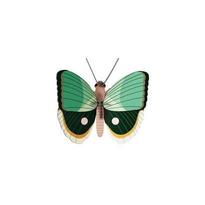 Zidni dekor peacock fern striped butterfly mali (1)