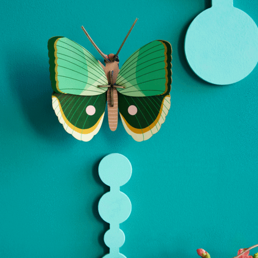 Zidni dekor peacock fern striped butterfly mali 1