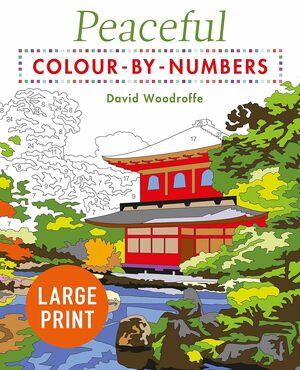 Latge print colour by numbers