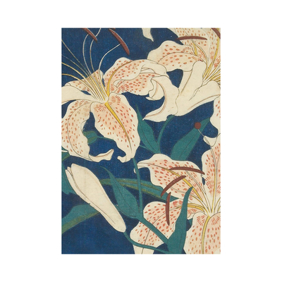 Dnevnik hiroshige spotted lilies meki uvez