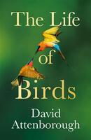 The life of birds
