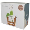 Winkee vaza hydro lilly 1