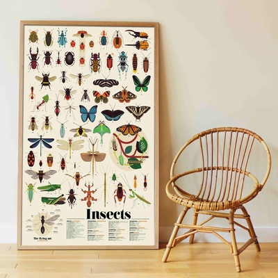 Poppik poster s naljepnicama discovery insekti 3