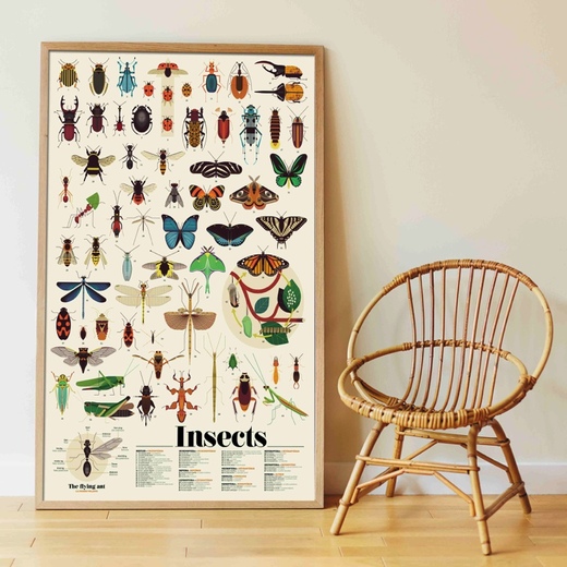 Poppik poster s naljepnicama discovery insekti 3