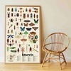 Poppik poster s naljepnicama discovery insekti 3