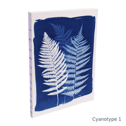 Clairefontaine cyanotype bilježnica a5 dikatando raw bind