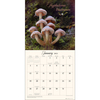 Zidni kalendar 2025. miraculous mushroom with fabulous fungi facts 1