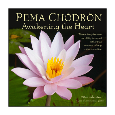 Zidni kalendar 2025. pema chodron