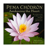 Zidni kalendar 2025. pema chodron