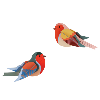 Zidni dekor rajska ptica robins