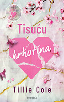 Tisucu krhotina