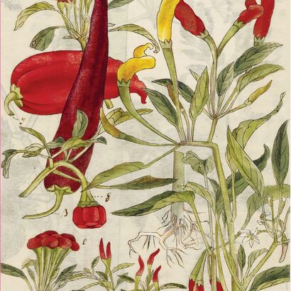 Chilies and spinach hardcover journal