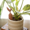 Kikkerland dozator vode za biljke terracotta 3