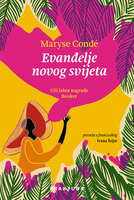 Evanđelje novog svijeta
