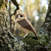 Plego 3d papirnata figura mala sova athene noctua 4