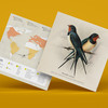 Plego 3d papirnata figura lastavica hirundo rustica 4