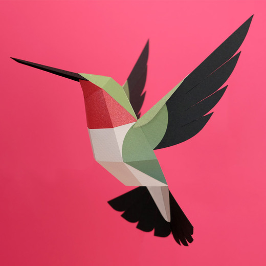 Plego 3d papirnata figura kolibirić selasphorus platyceru 3
